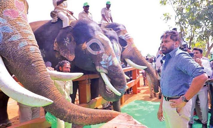 ఏనుగులకు సురక్షిత ఆవాసాలే లక్ష్యం
